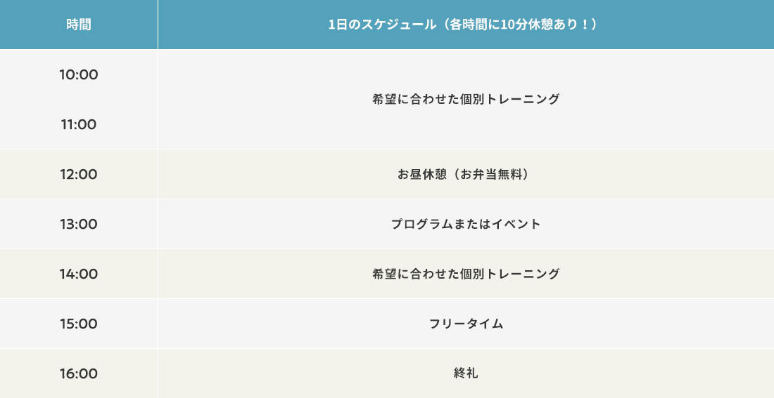スケジュール