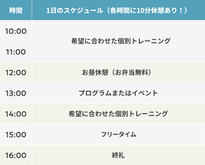 スケジュール